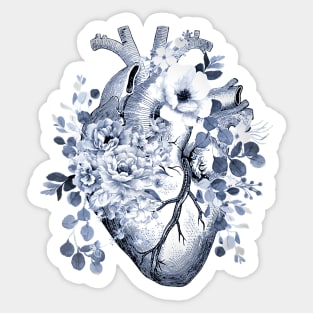 human heart,medical,heart anatomy Sticker